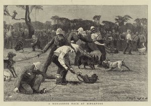 A Menagerie Race at Singapore